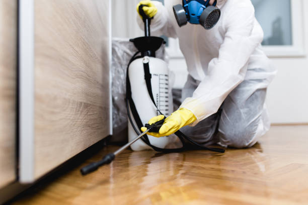 Best Wasp Removal Services  in Leonia, NJ