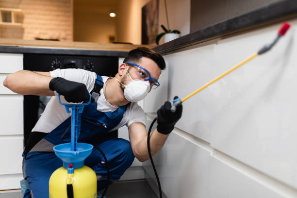 Best Affordable Pest Control Services  in Leonia, NJ