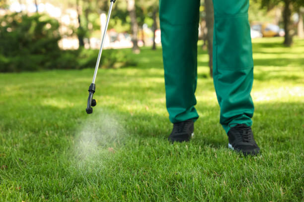 Insect Control in Leonia, NJ