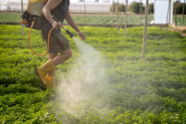 Best Best Pest Control Companies  in Leonia, NJ