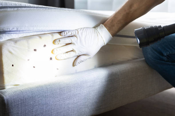 Best Cockroach Control Services  in Leonia, NJ