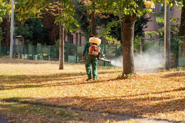 Best Pest Control Near Me  in Leonia, NJ