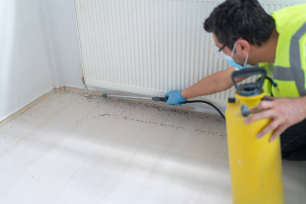 Trusted Leonia, NJ Pest Control Experts